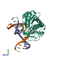 PDB entry 2xzu coloured by chain, side view.