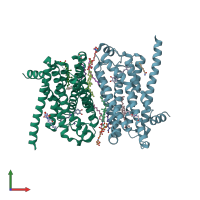 PDB entry 2y00 coloured by chain, front view.