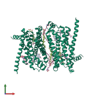 Homo dimeric assembly 3 of PDB entry 2y02 coloured by chemically distinct molecules, front view.