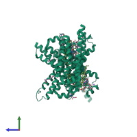 Homo dimeric assembly 3 of PDB entry 2y02 coloured by chemically distinct molecules, side view.