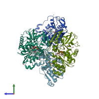 PDB entry 2y05 coloured by chain, side view.