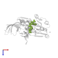 NADP NICOTINAMIDE-ADENINE-DINUCLEOTIDE PHOSPHATE in PDB entry 2y05, assembly 1, top view.