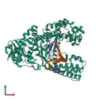 PDB entry 2y1i coloured by chain, front view.