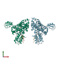 PDB entry 2y1n coloured by chain, front view.