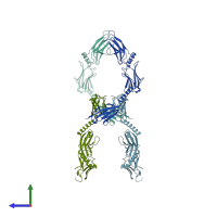 PDB entry 2y25 coloured by chain, side view.