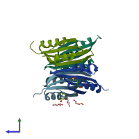 PDB entry 2y3y coloured by chain, side view.