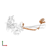 REST corepressor 1 in PDB entry 2y48, assembly 1, front view.