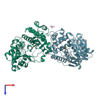 PDB entry 2y4j coloured by chain, top view.