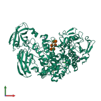 PDB entry 2y5e coloured by chain, front view.