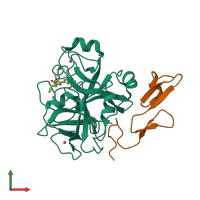 PDB entry 2y5g coloured by chain, front view.
