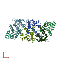 PDB entry 2y5i coloured by chain, front view.