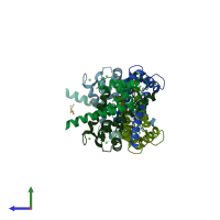 PDB entry 2y5i coloured by chain, side view.