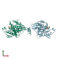 PDB entry 2y5w coloured by chain, front view.