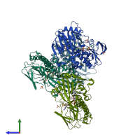 PDB entry 2y6q coloured by chain, side view.
