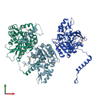 PDB entry 2y6v coloured by chain, front view.