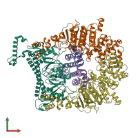 PDB entry 2y7c coloured by chain, front view.