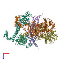 PDB entry 2y7c coloured by chain, top view.