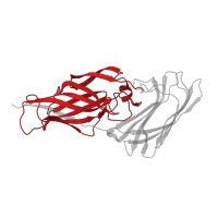 The deposited structure of PDB entry 2y7l contains 1 copy of CATH domain 2.60.40.1280 (Immunoglobulin-like) in Agglutinin-like protein 9. Showing 1 copy in chain A.