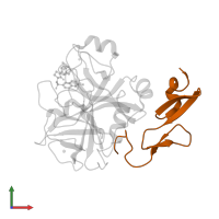 Factor X light chain in PDB entry 2y7z, assembly 1, front view.