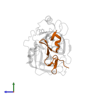 Factor X light chain in PDB entry 2y7z, assembly 1, side view.