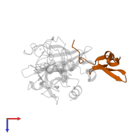 Factor X light chain in PDB entry 2y7z, assembly 1, top view.