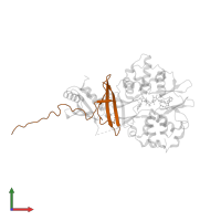 5'-AMP-activated protein kinase subunit beta-2 in PDB entry 2y8l, assembly 1, front view.