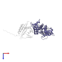 5'-AMP-activated protein kinase subunit gamma-1 in PDB entry 2y8l, assembly 1, top view.