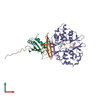 PDB entry 2y8q coloured by chain, front view.