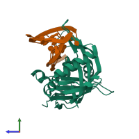 PDB entry 2y8w coloured by chain, side view.