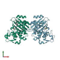 PDB entry 2y91 coloured by chain, front view.