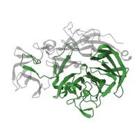 The deposited structure of PDB entry 2ya6 contains 2 copies of Pfam domain PF13088 (BNR repeat-like domain) in Sialidase A. Showing 1 copy in chain A.