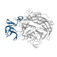 The deposited structure of PDB entry 2ya7 contains 4 copies of CATH domain 2.40.220.10 (Intramolecular trans-sialidase; domain 3) in Sialidase A. Showing 1 copy in chain C.