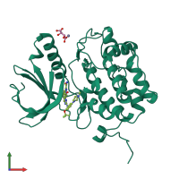 PDB entry 2yac coloured by chain, front view.