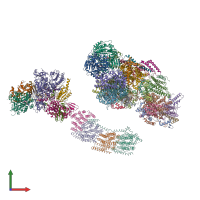 PDB entry 2ybb coloured by chain, front view.