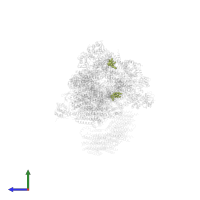 CARDIOLIPIN in PDB entry 2ybb, assembly 1, side view.
