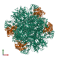 Hetero 16-meric assembly 1 of PDB entry 2ybv coloured by chemically distinct molecules, front view.