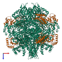 Hetero 16-meric assembly 1 of PDB entry 2ybv coloured by chemically distinct molecules, top view.