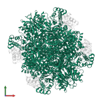 Ribulose bisphosphate carboxylase large chain in PDB entry 2ybv, assembly 1, front view.