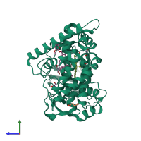 PDB entry 2yca coloured by chain, side view.
