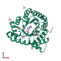 PDB entry 2yck coloured by chain, front view.