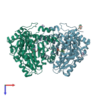 PDB entry 2yct coloured by chain, top view.