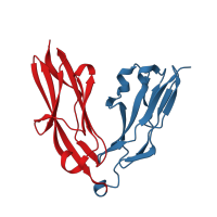 The deposited structure of PDB entry 2yd5 contains 2 copies of CATH domain 2.60.40.10 (Immunoglobulin-like) in Receptor-type tyrosine-protein phosphatase F. Showing 2 copies in chain A.
