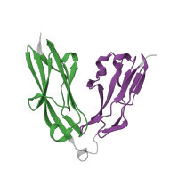 The deposited structure of PDB entry 2yd5 contains 2 copies of Pfam domain PF07679 (Immunoglobulin I-set domain) in Receptor-type tyrosine-protein phosphatase F. Showing 2 copies in chain A.