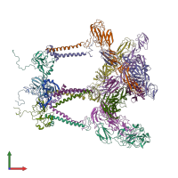 PDB entry 2yew coloured by chain, front view.