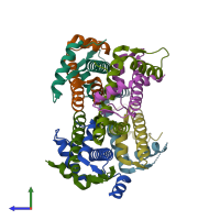 PDB entry 2yfw coloured by chain, side view.