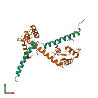 PDB entry 2ygg coloured by chain, front view.