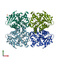 PDB entry 2yh2 coloured by chain, front view.