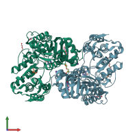 PDB entry 2yhk coloured by chain, front view.