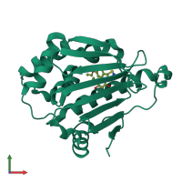 PDB entry 2yi6 coloured by chain, front view.