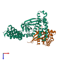 Hetero dimeric assembly 1 of PDB entry 2yin coloured by chemically distinct molecules, top view.